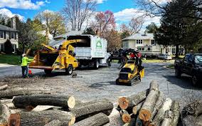 Best Tree Risk Assessment  in Cedar Park, TX